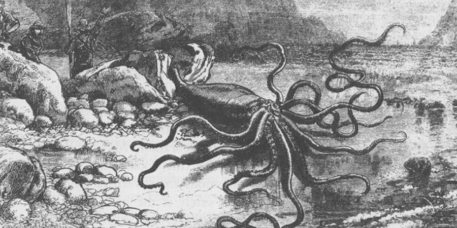 Il terribile incontro con un calamaro gigante