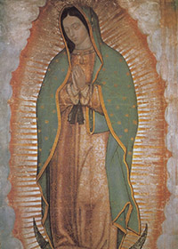 Nostra Signora di Guadalupe