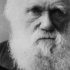 Darwin - L'Origine delle Specie